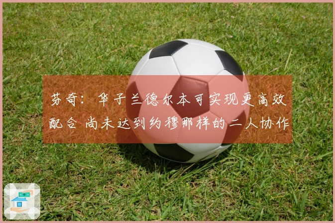 芬奇：华子兰德尔本可实现更高效配合 尚未达到约穆那样的二人协作
